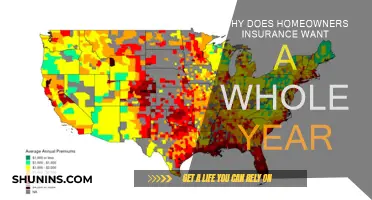 Home Insurance: Annual Coverage, Annual Peace of Mind