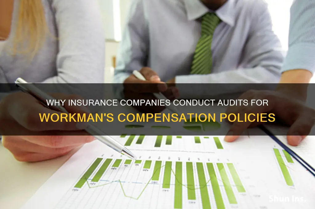 why does insurance companies doe audits for worlmaninsurance
