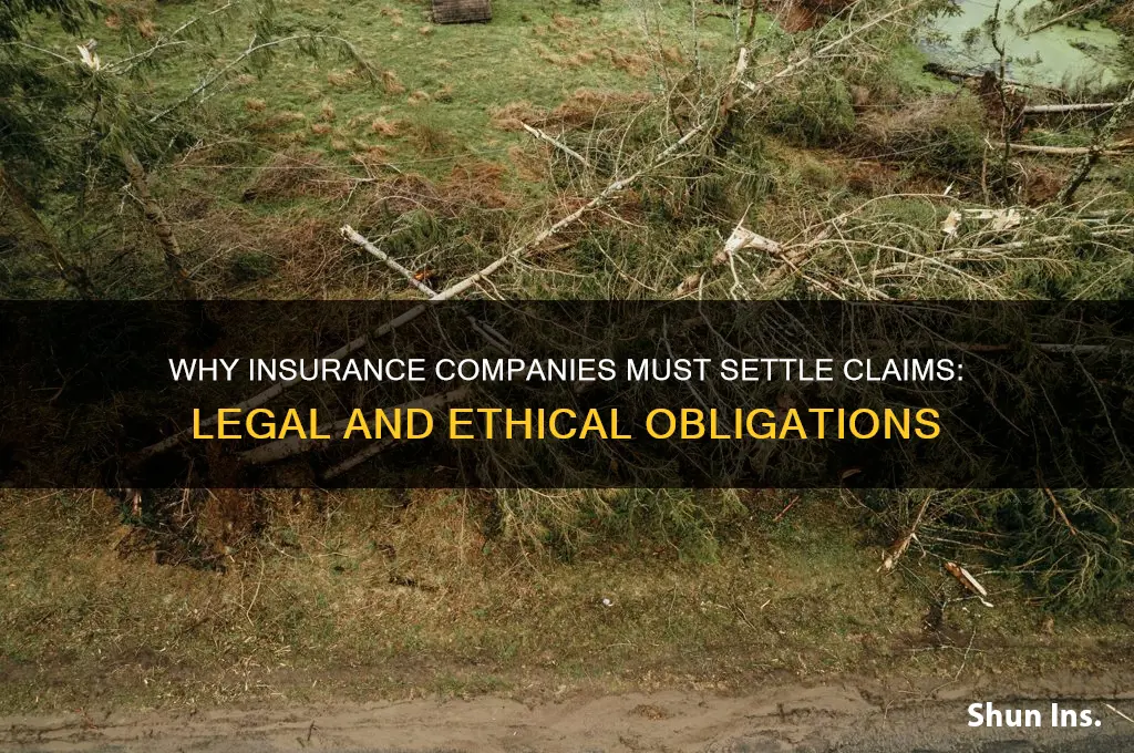 why does insurance company have to settle claim