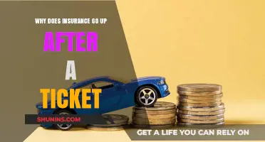 Traffic Tickets: Insurance Rates and Hidden Costs