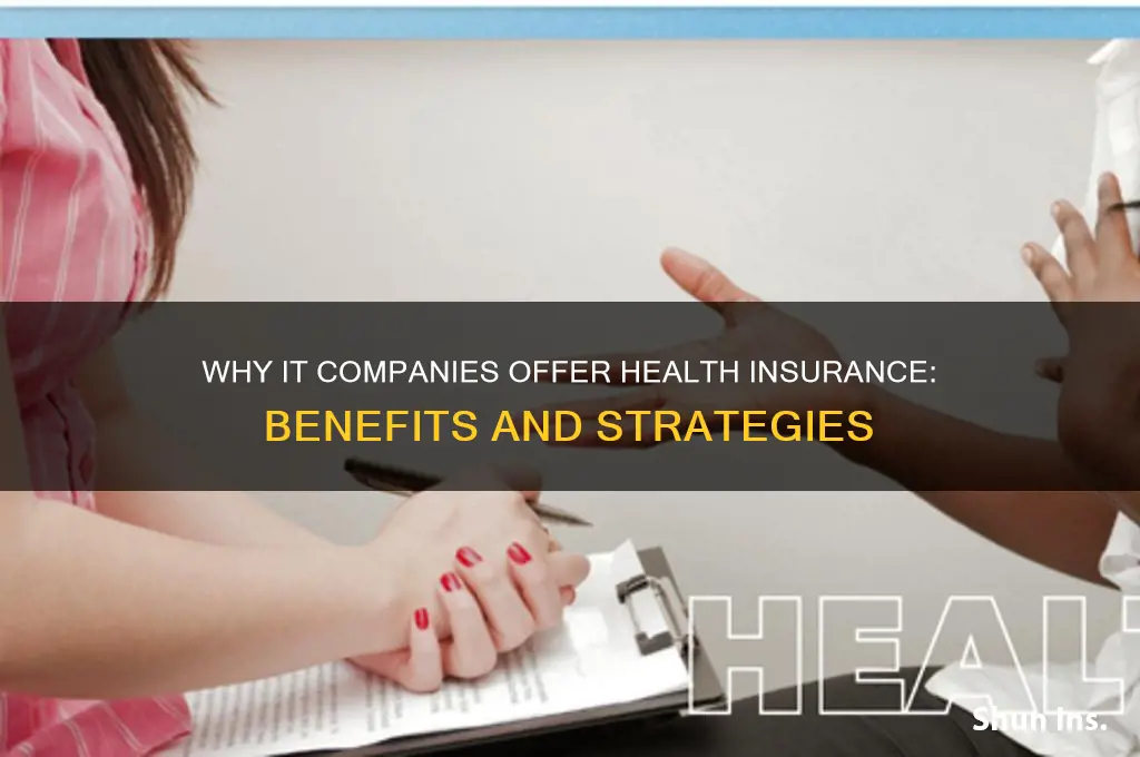 why does it companies service health insurance