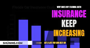 Florida Auto Insurance: Rising Premiums Explained