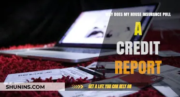 Credit Reports: A Factor in Home Insurance Rates