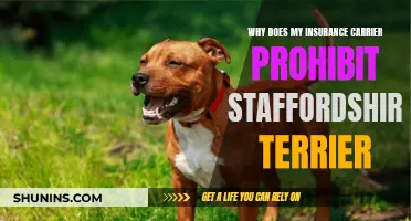 Staffordshire Terrier: Insurance Carrier's Fear