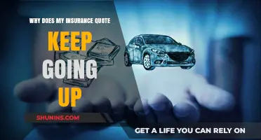 Insurance Quotes: Rising Costs and Reasons Why