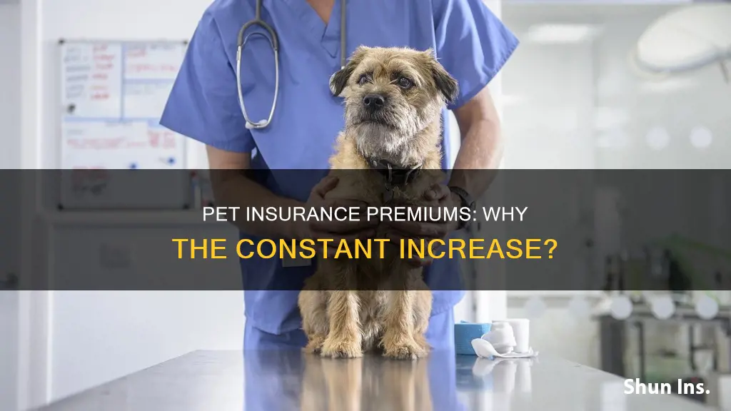 why does my pet insurance keep going up