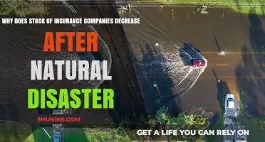Natural Disasters: Why Insurance Stocks Plummet Post-Catastrophe