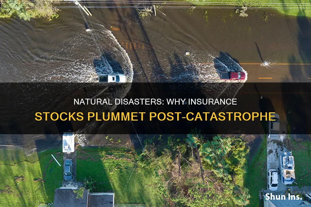why does stock of insurance companies decrease after natural disaster