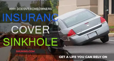 Home Insurance: Sinkholes and Their Exceptions