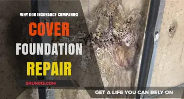 Why Don’t Insurance Companies Cover Foundation Repair? Key Reasons Explained