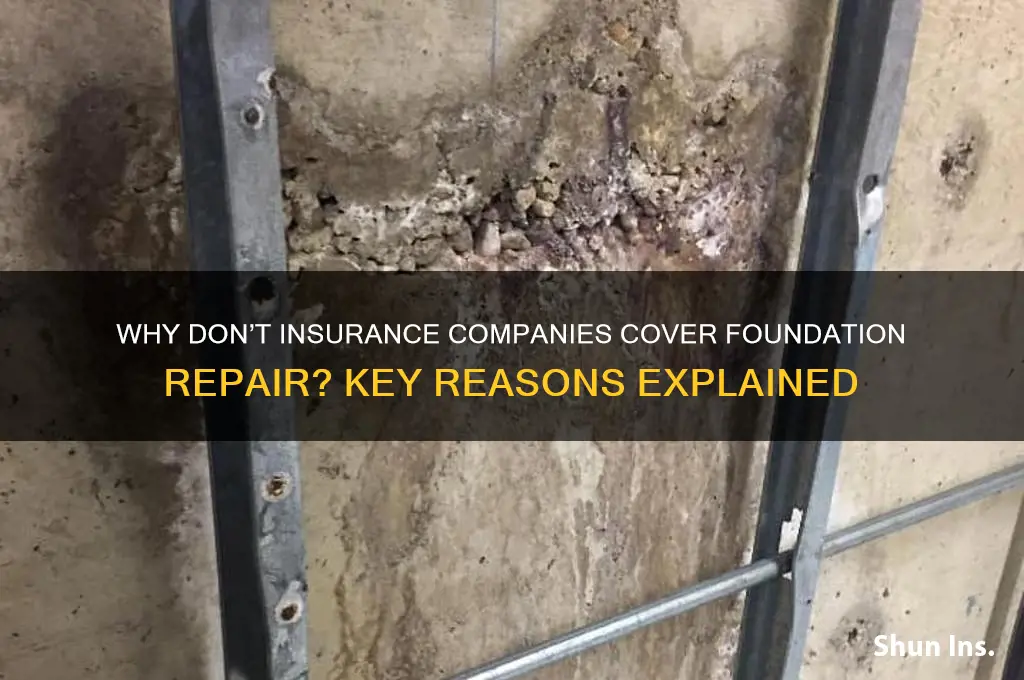 why don insurance companies cover foundation repair