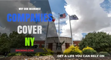 Why Don't Insurance Companies Cover New York? Key Reasons Explained