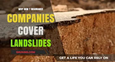 Landslide Coverage Gap: Why Insurance Companies Exclude This Natural Disaster