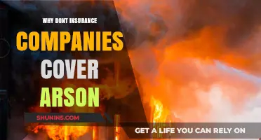 Why Insurance Companies Often Exclude Arson from Coverage Policies