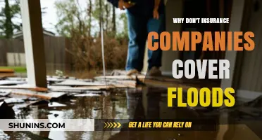 Why Flood Damage Often Falls Outside Insurance Coverage