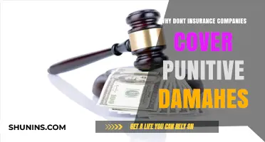 Why Insurance Companies Exclude Punitive Damages: Key Reasons Explained