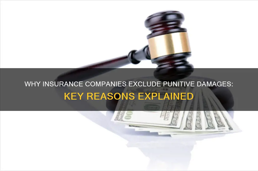 why dont insurance companies cover punitive damahes