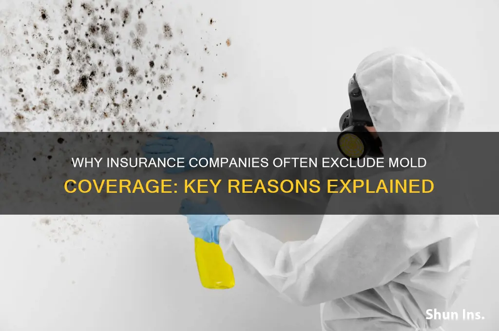 why dont insurance companies covr mould mold
