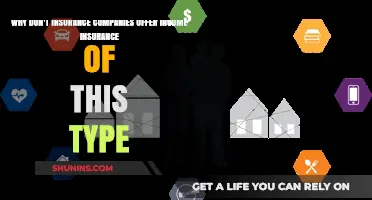 Why Income Insurance Remains Unavailable: Insurance Companies' Perspective Explained