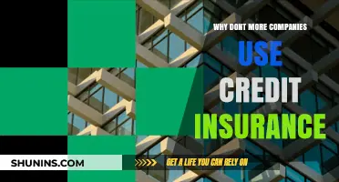 Unlocking Financial Security: Why Credit Insurance Remains Underutilized by Businesses
