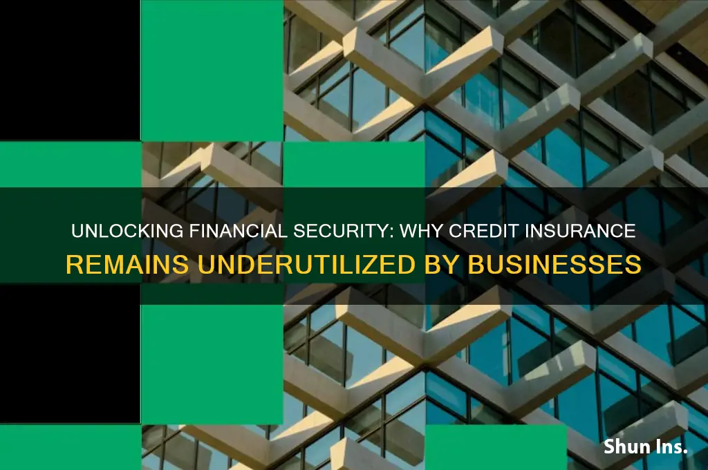 why dont more companies use credit insurance