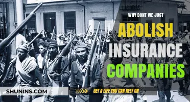 Abolishing Insurance Companies: A Radical Solution or Unrealistic Dream?