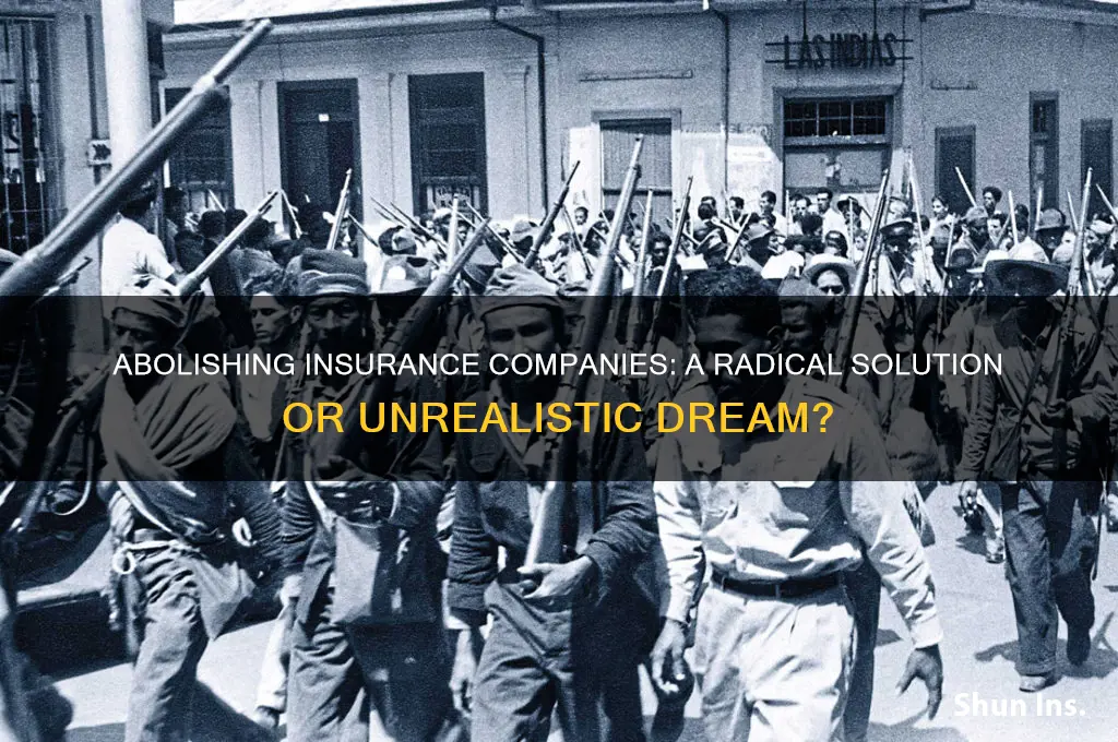 why dont we just abolish insurance companies