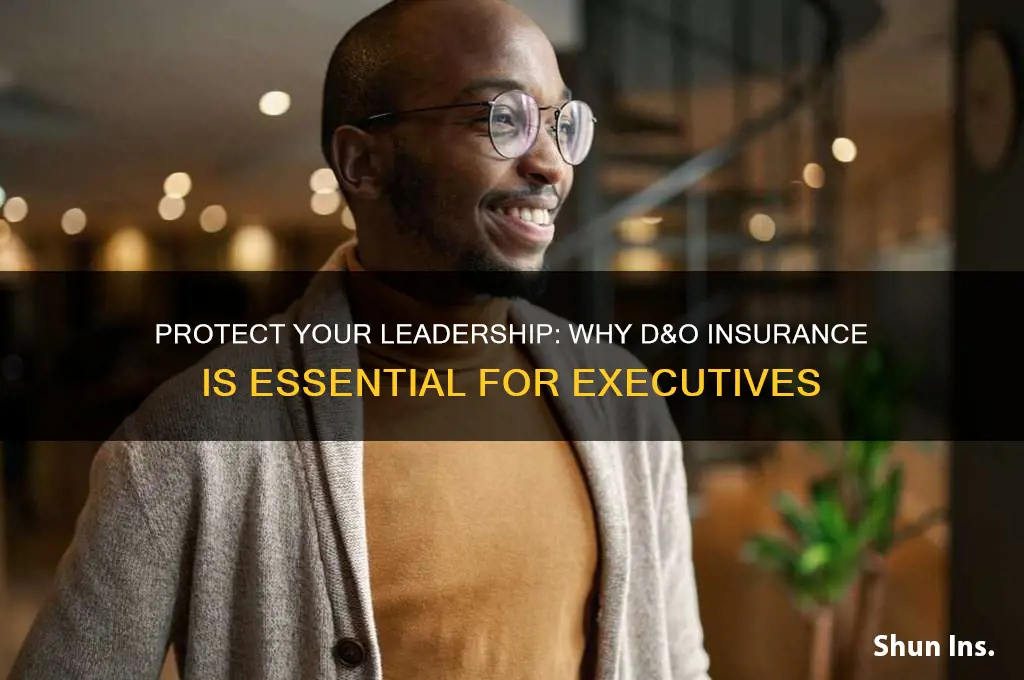 why executives should insist their companies carry d&o insurance