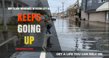 Flood Insurance in Ocean City, NJ: Rising Costs Explained