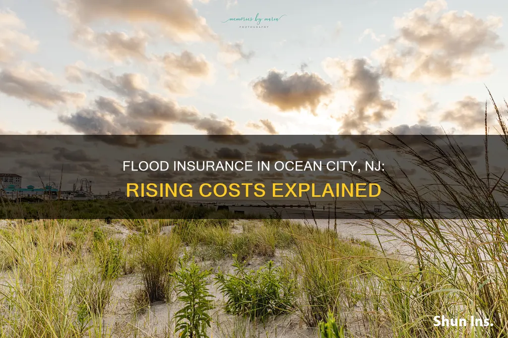 why flood insurance in ocean city nj keeps going up