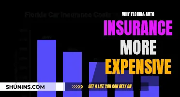 Florida Auto Insurance: Why the High Cost?