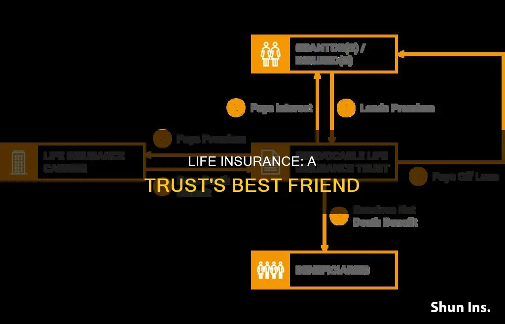 why fund trust with life insurance