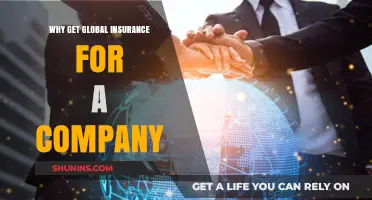 Global Insurance: Essential Protection for Your Company's International Success