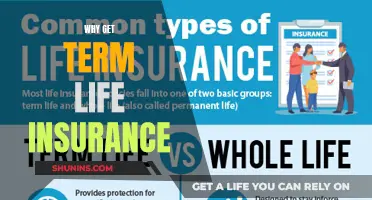 Term Life Insurance: A Wise Investment for Your Future