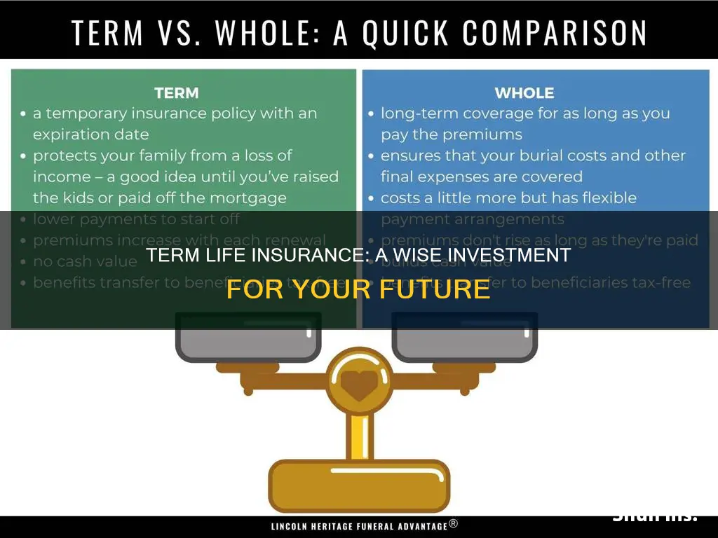 why get term life insurance