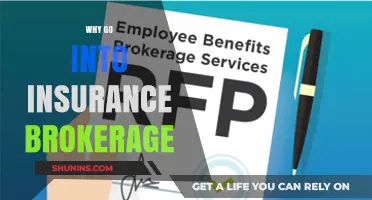 Lucrative Career Path: Insurance Brokerage Offers Flexibility and Rewards