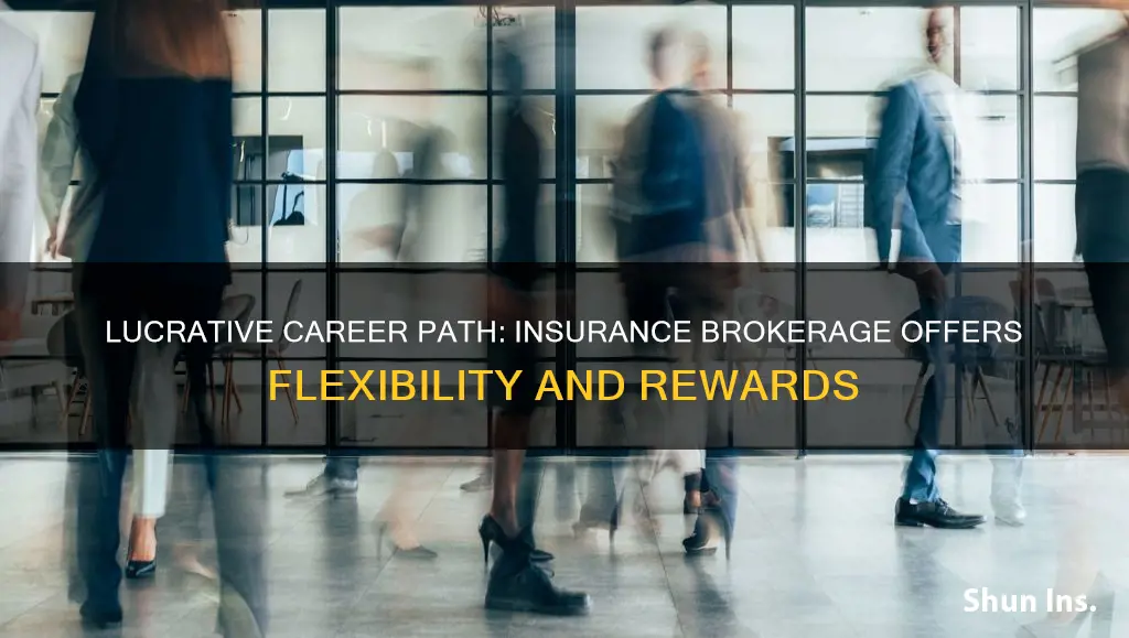 why go into insurance brokerage