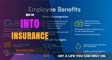Lucrative Insurance Careers: Stability and Growth