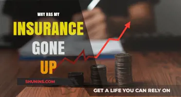 Why Your Insurance Premiums Are Rising: Key Factors Explained