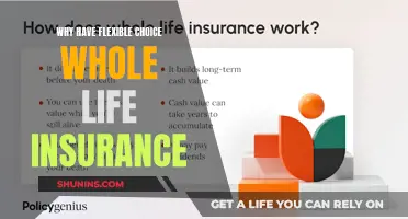 Why Flexible Choice Whole Life Insurance is a Smart Investment