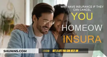 Insurance Cancellation: Homeowner's Policy Terminated, Now What?
