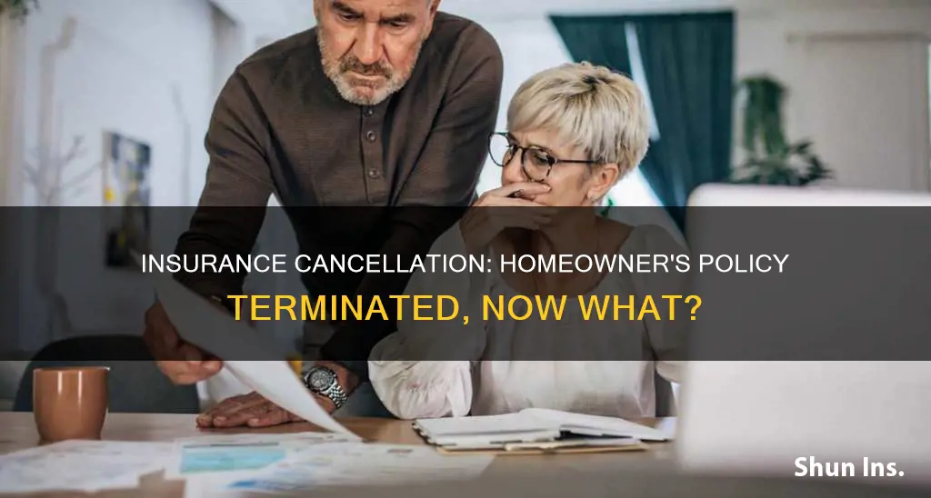 why have insurance if they can cancel you homeowners insurance