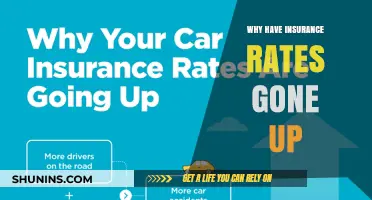 Insurance Rates: Rising Costs and Why They're Increasing