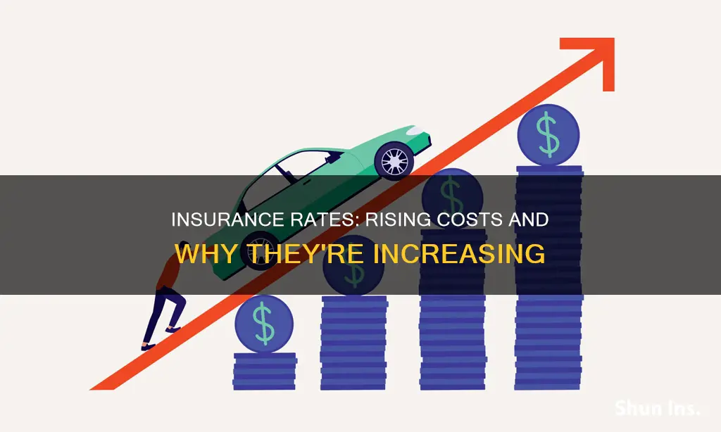 why have insurance rates gone up