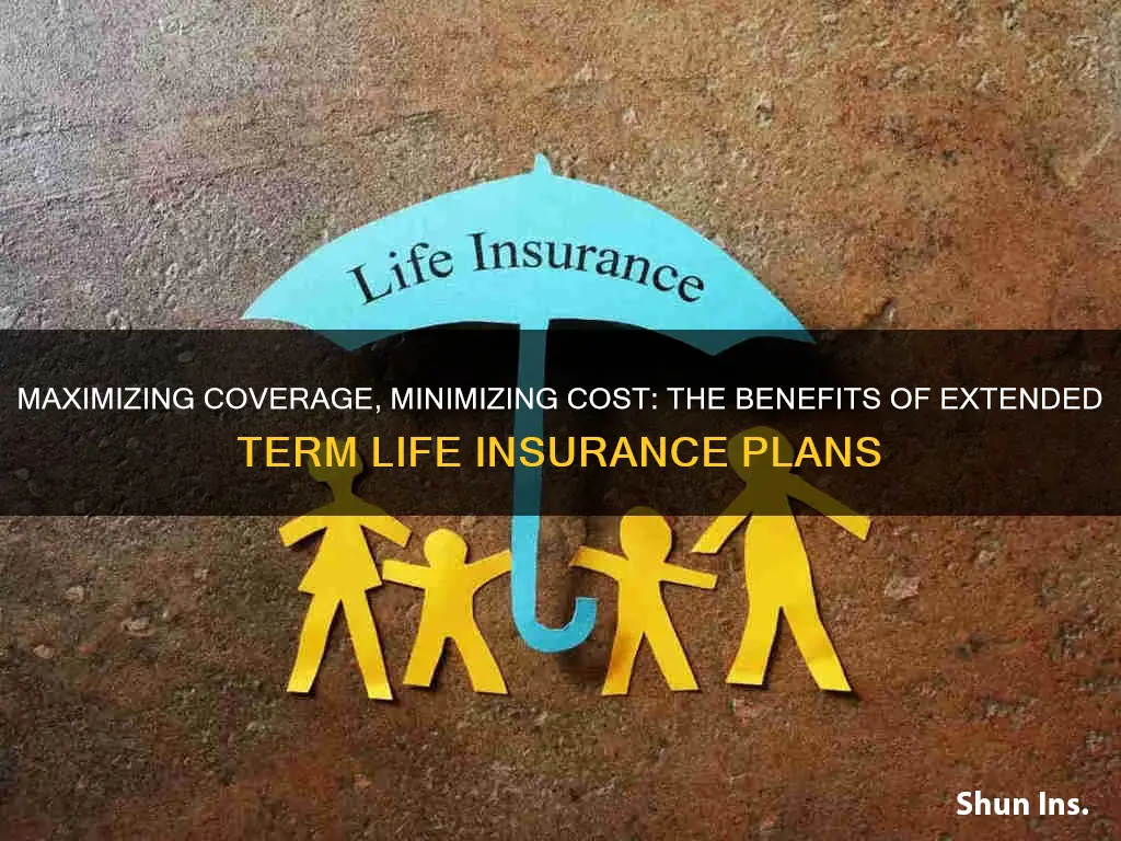 why have term insurance for 80 years vs 30 years