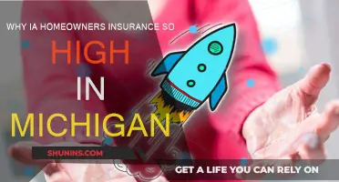 Home Insurance in Michigan: Why the High Cost?
