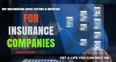 Expert Systems: Revolutionizing Insurance Operations and Enhancing Customer Experience