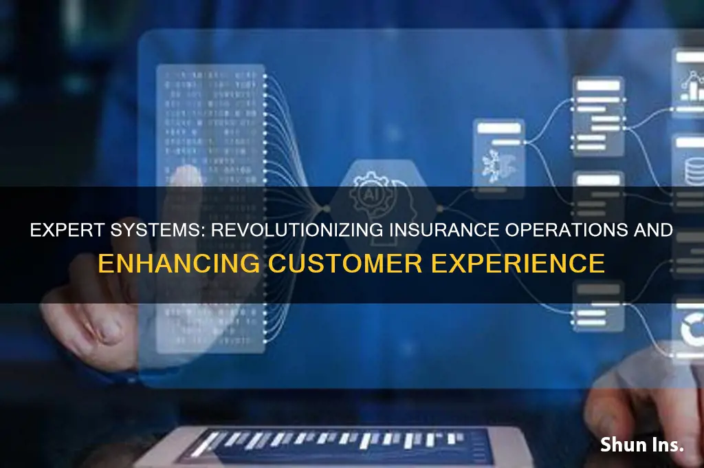 why implementing expert systems is important for insurance companies