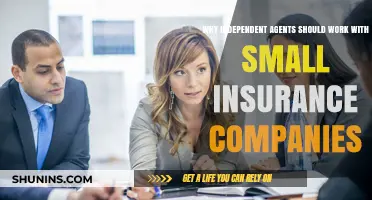 Why Independent Agents Thrive Partnering with Small Insurance Companies