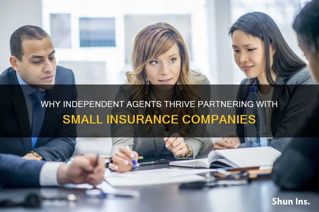why independent agents should work with small insurance companies